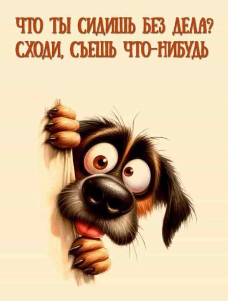 ЧТО ТЫ СИДИШЬ БЕЗ ДЕЛА? СХОДИ, СЪЕШЬ ЧТО-НИБУДЬ