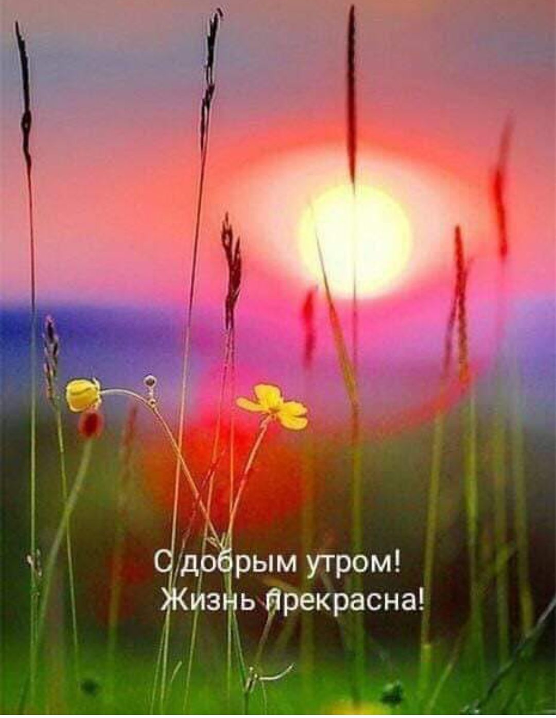 С добрым утром! Жизнь прекрасна!