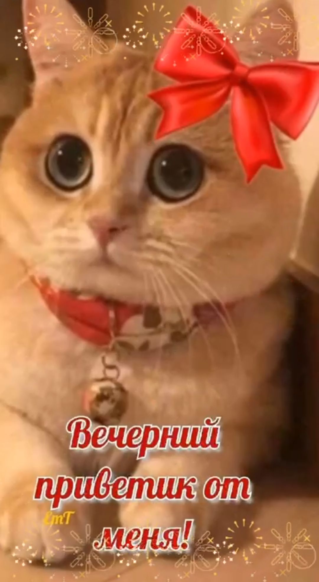 Вечерний приветик от меня!