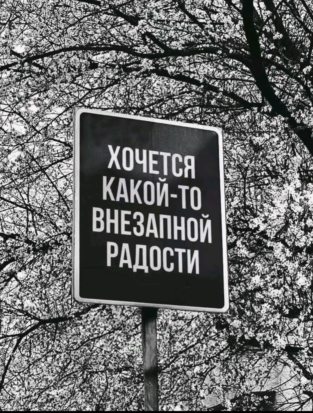 Хочется какой-то внезапной радости