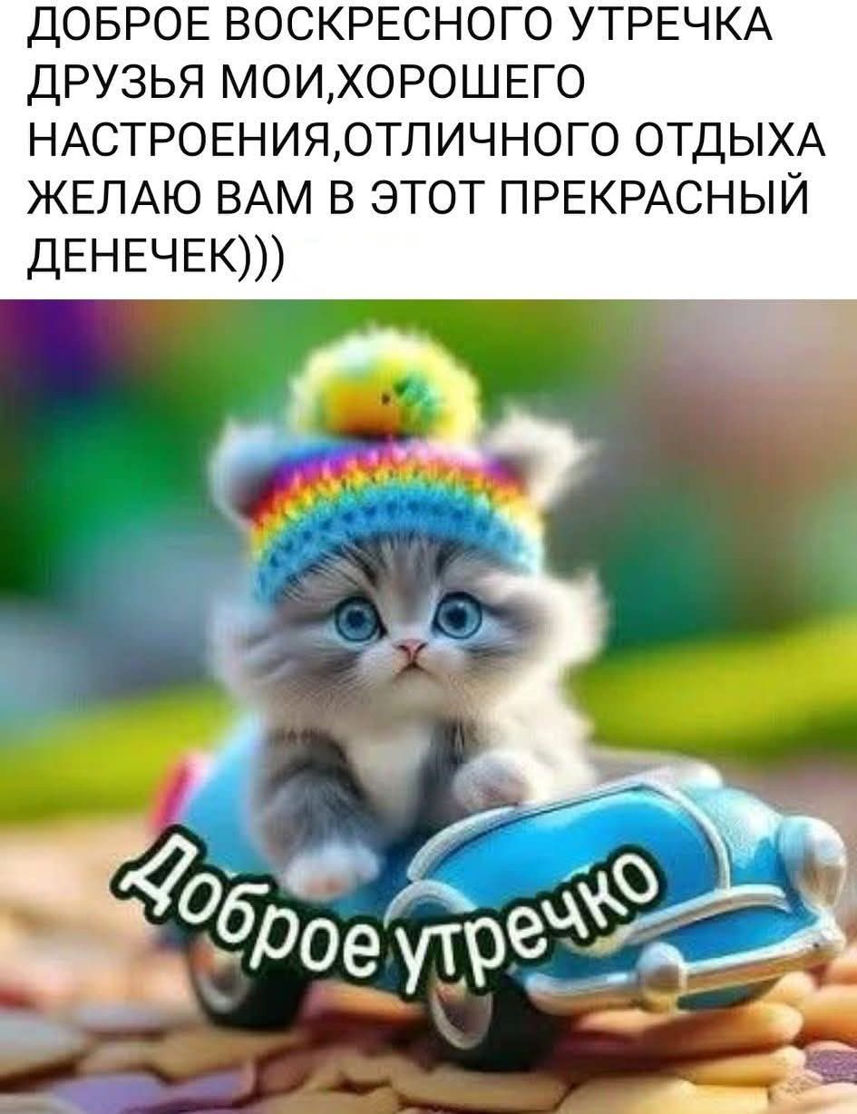 ДОБРОЕ ВОСКРЕССНОГО УТРЕЧКА ДРУЗЬЯ МОИ, ХОРОШЕГО НАСТРОЕНИЯ, ОТЛИЧНОГО ОТДЫХА ЖЕЛАЮ ВАМ В ЭТОТ ПРЕКРАСНЫЙ ДЕНЕЧЕК))) 
Доброе утречко