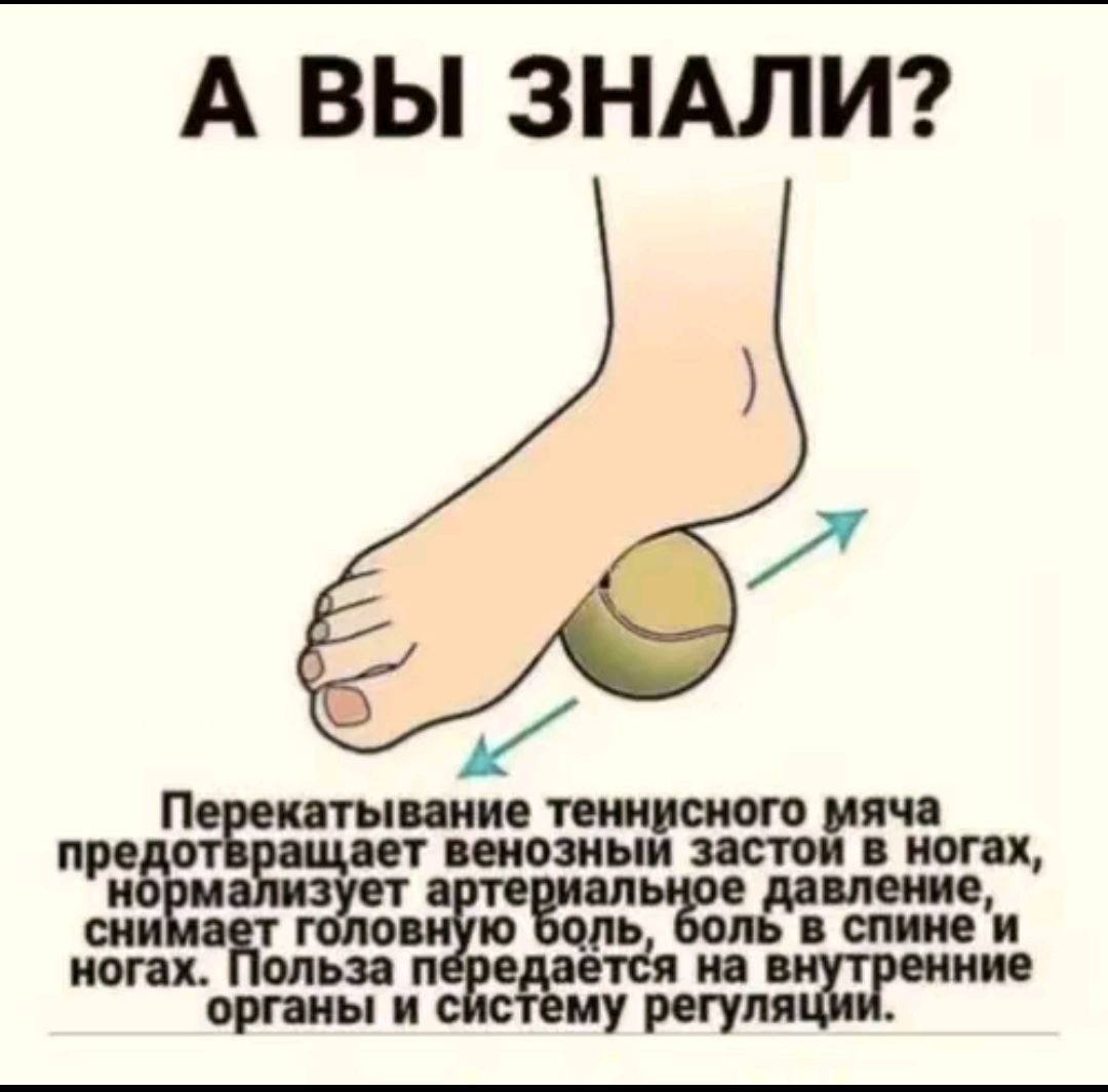 А ВЫ ЗНАЛИ? Перекатывание теннисного мяча в ногах, предотвращает венозный застой в ногах, нормализует артериальное давление, снимает головную боль, боль в спине и ногах. П польза передаётся на внутренние органы и систему регулирования.
