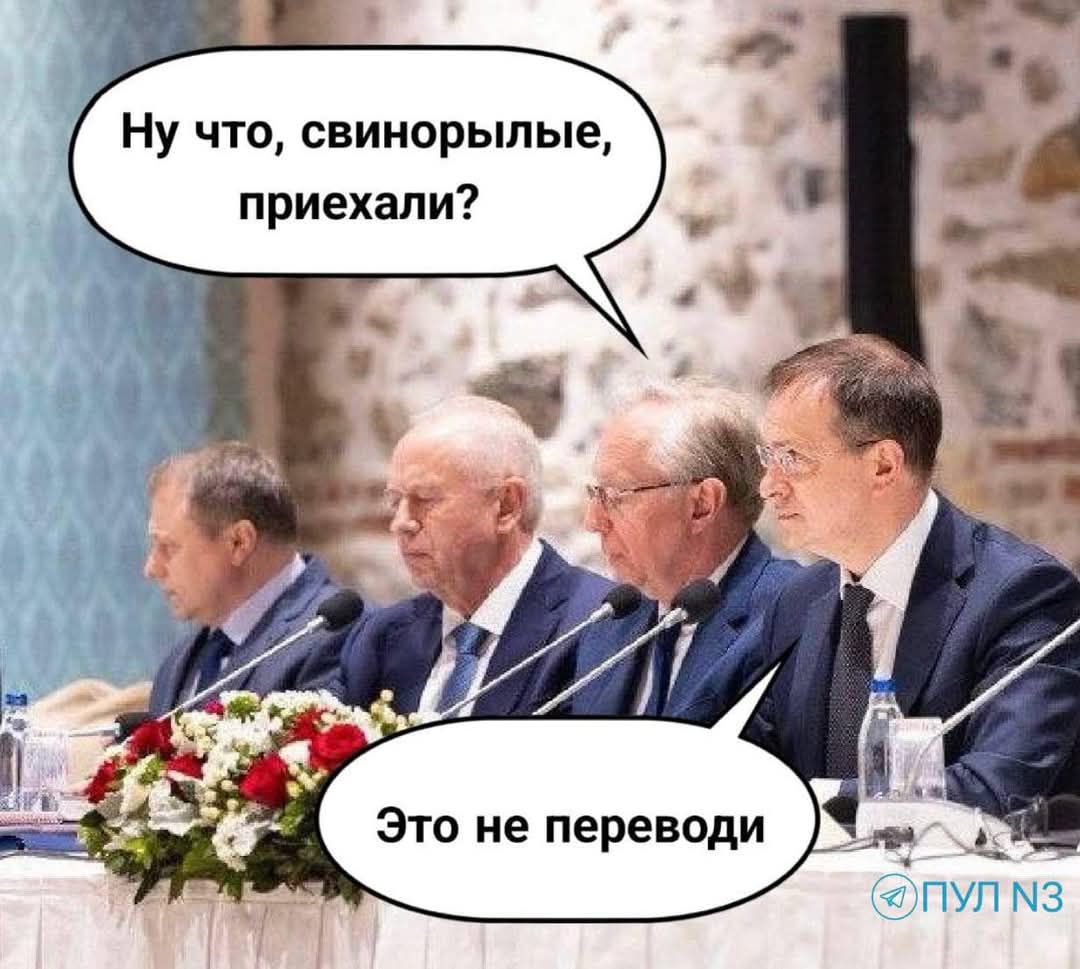Ну что, свинорылые, приехали? Это не переводы.