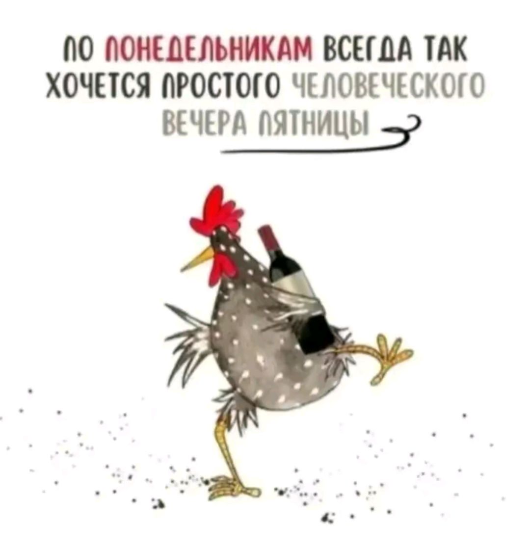 По понедельникам всегда так хочется простого человеческого вечера пятницы.