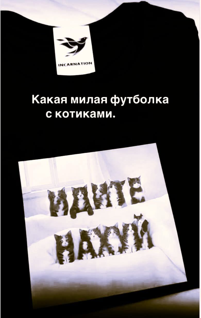 Какая милая футболка с котиками.
ИДИТЕ НАХЙ
