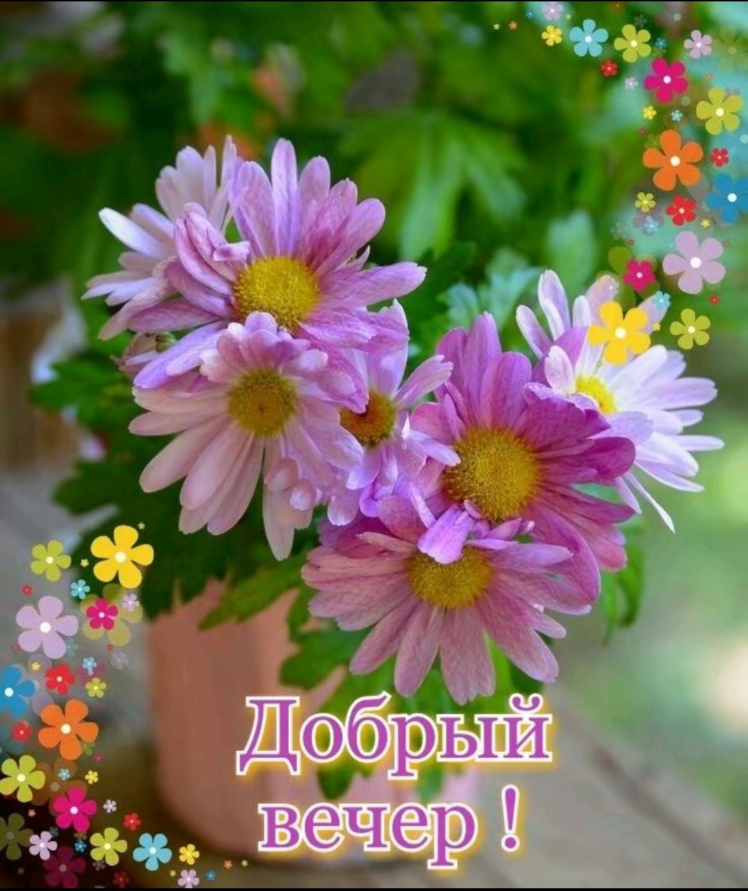 Добрый вечер !