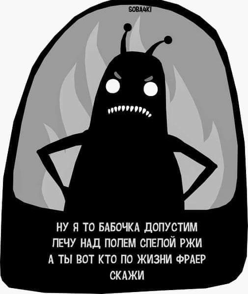 Ну я то бабочка допустим лечу над полем спелой ржи, а ты вот кто по жизни фраер скажи
