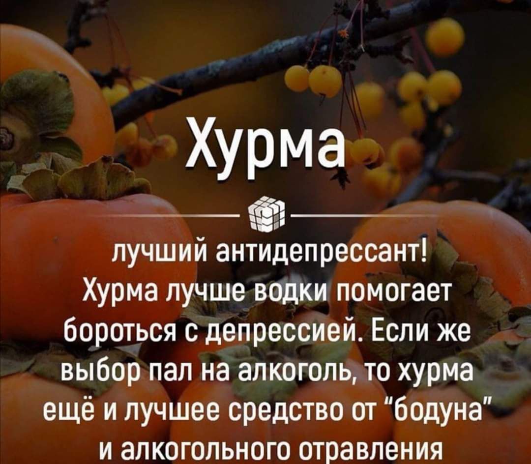 Хурма
лучший антидепрессант!
Хурма лучше водки помогает бороться с депрессией. Если же выбор пал на алкоголь, то хурма ещё и лучшее средство от 