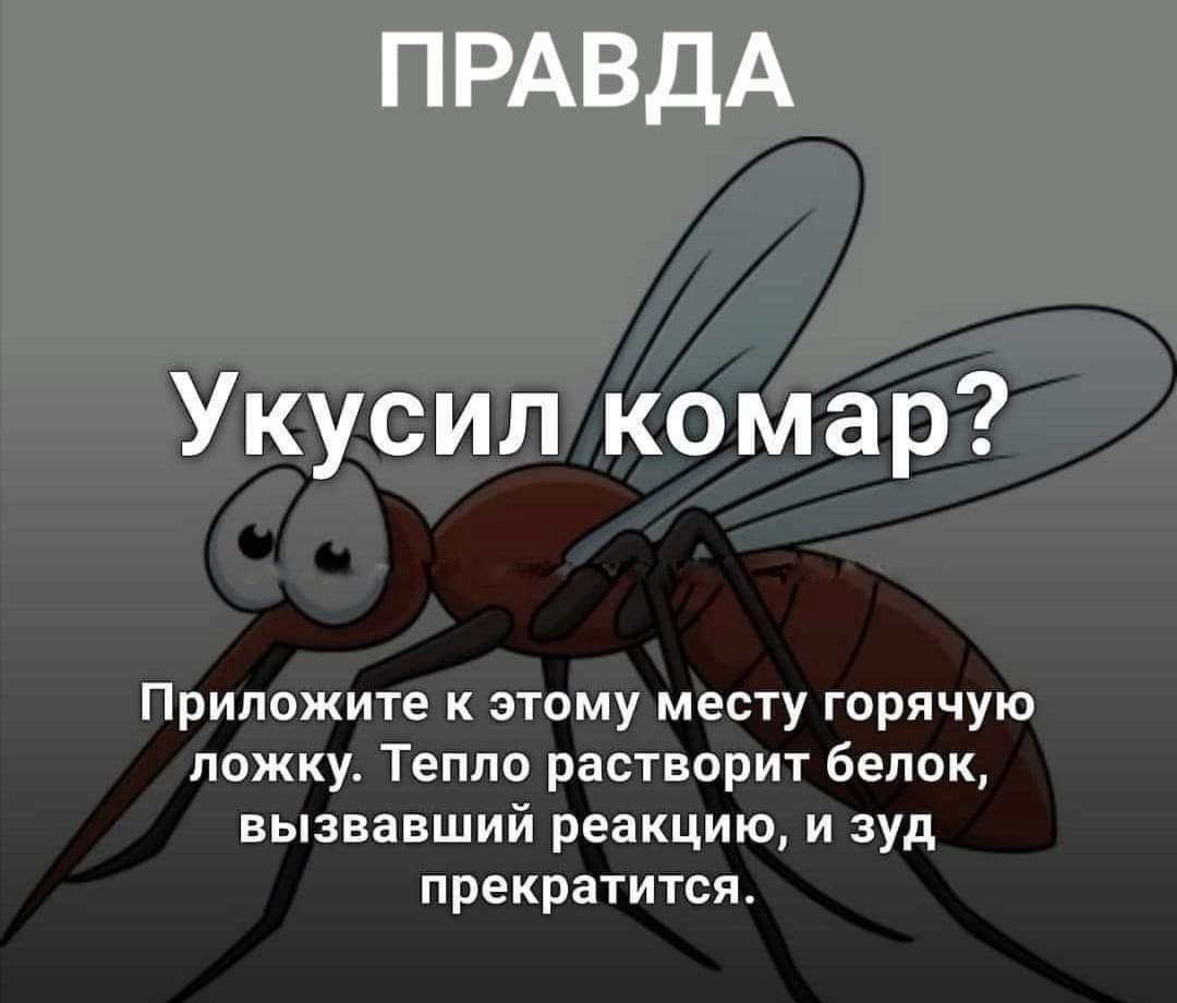 Укусил комар?

Приклейте к этому месту горячую ложку. Тепло растворит белок, вызвавший реакцию, и зуд прекратится.
