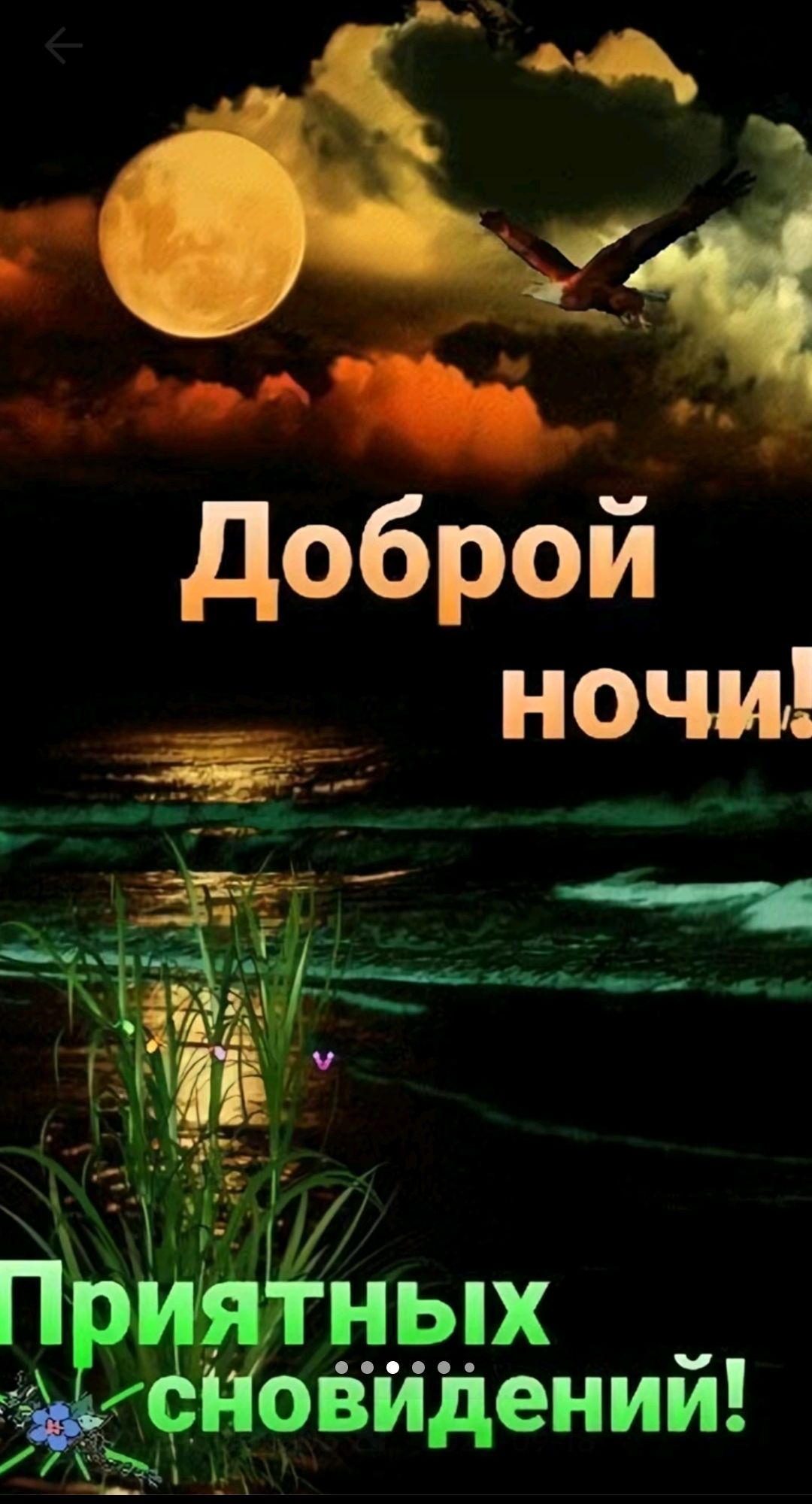 Доброй ночи! Приятных сновидений!