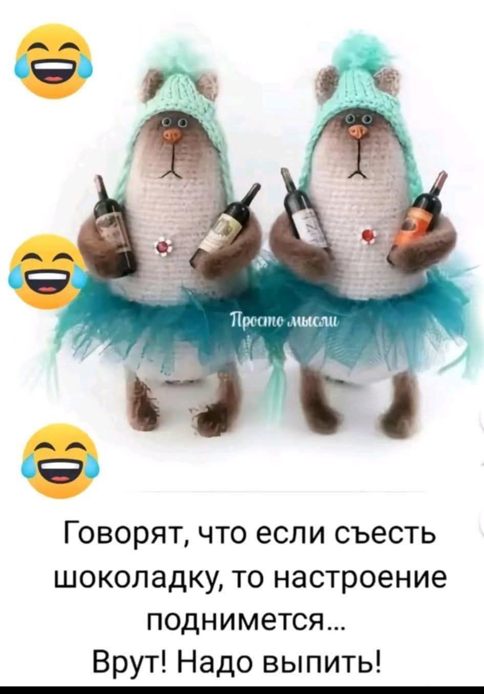Говорят, что если съесть шоколадку, то настроение поднимется… Врут! Надо выпить!