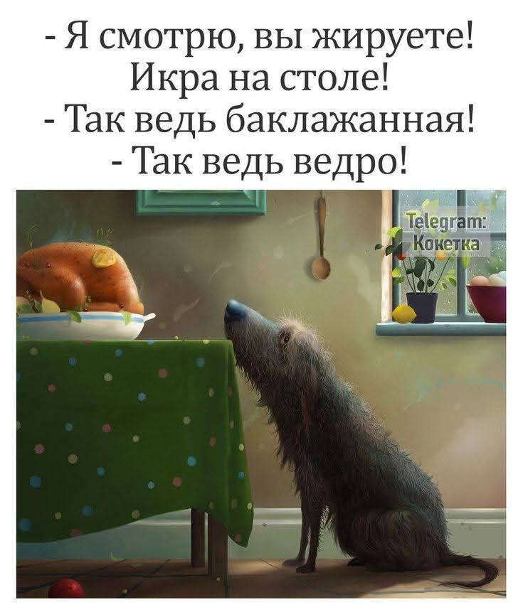 Я смотрю, вы жиреете! Икра на столе! - Так ведь баклажанная! - Так ведь ведро!
