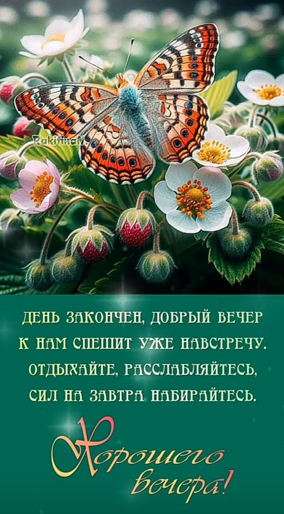 ДЕНЬ ЗАКОНЧЕН, ДОБРЫЙ ВЕЧЕР К НАМ СПЕШИТ УЖЕ НАВСТРЕЧУ. ОТДЫХАЙТЕ, РАССЛАБЛЯЙТЕСЬ, СИЛ НА ЗАВТРА НАБИРАЙТЕСЬ. Хорошего вечера!