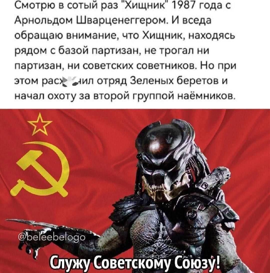 Смотрю в сотый раз 
