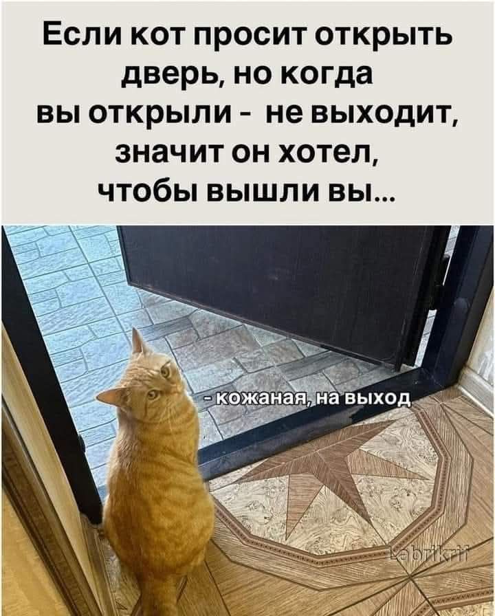Если кот просит открыть дверь, но когда вы открыли - не выходит, значит он хотел, чтобы вышли вы... - Кожаная, на выход