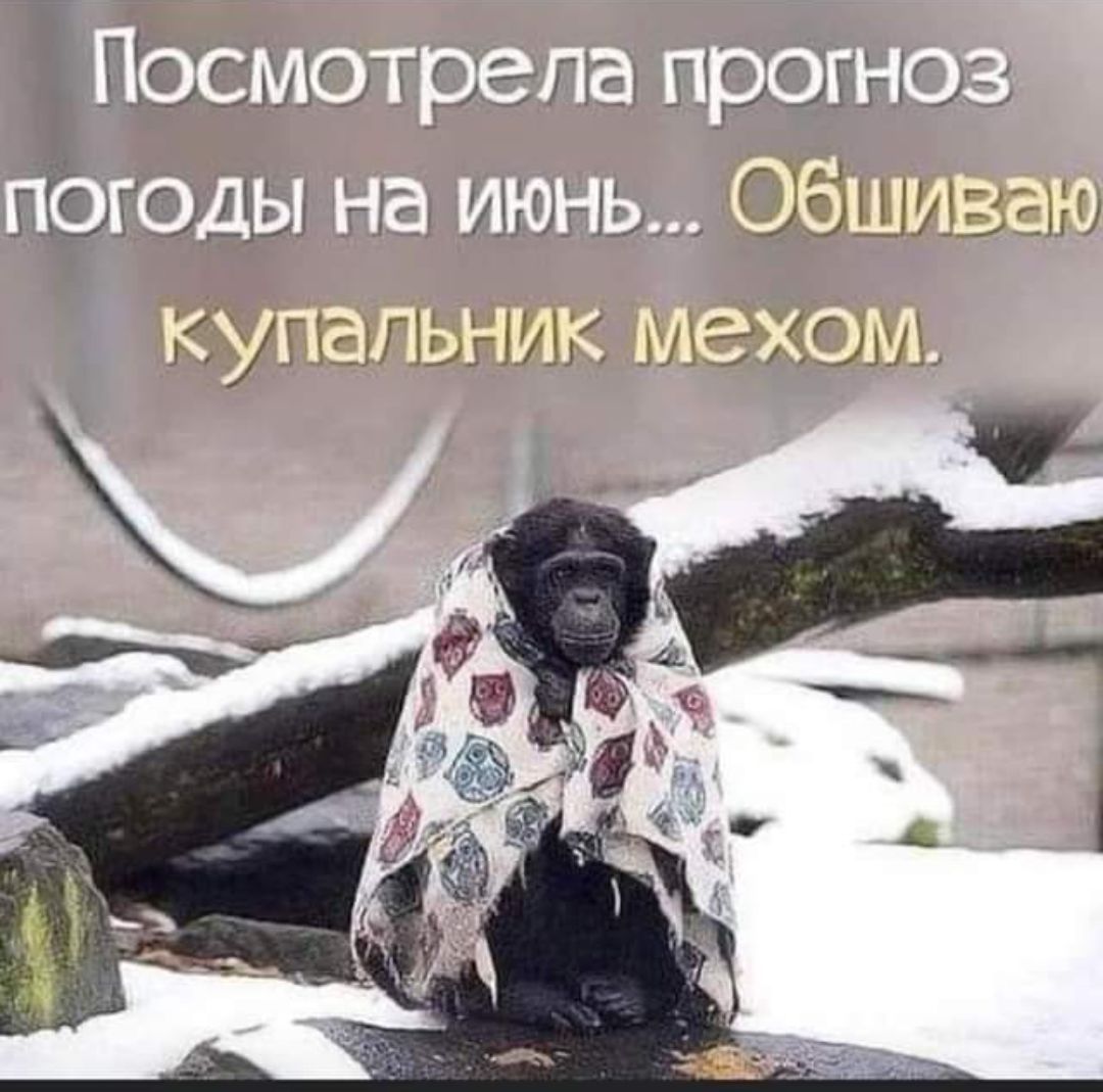 Посмотрела прогноз погоды на июнь... Обшиваю купальник мехом.