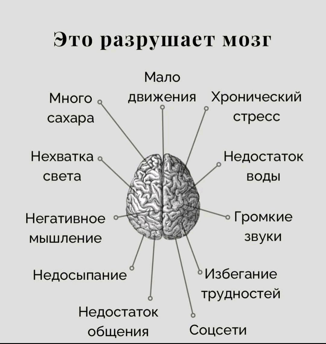 Это разрушает мозг

Много сахара
Нехватка света
Негативное мышление
Недосыпание
Недостаток общения
Мало движения
Хронический стресс
Недостаток воды
Громкие звуки
Избегание трудностей
Социети