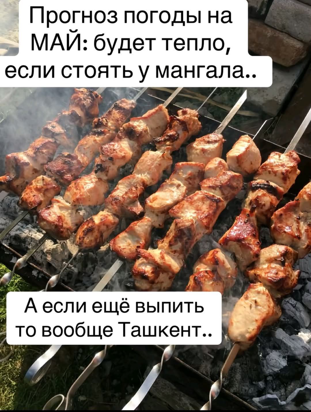 Прогноз погоды на МАЙ: будет тепло, если стоять у мангала.. А если ещё выпить то вообще Ташкент..