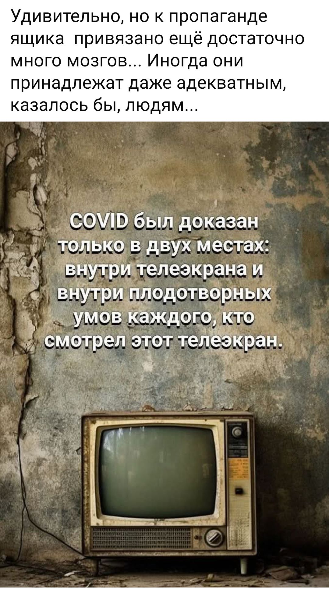 Удивительно, но к пропаганде ящика привязано ещё достаточно много мозгов... Иногда они принадлежат даже адекватным, казалось бы, людям...

COVID был доказан только в двух местах: внутри телеэкрана и внутри плодотворных умов каждого, кто смотрел этот телеэкран.