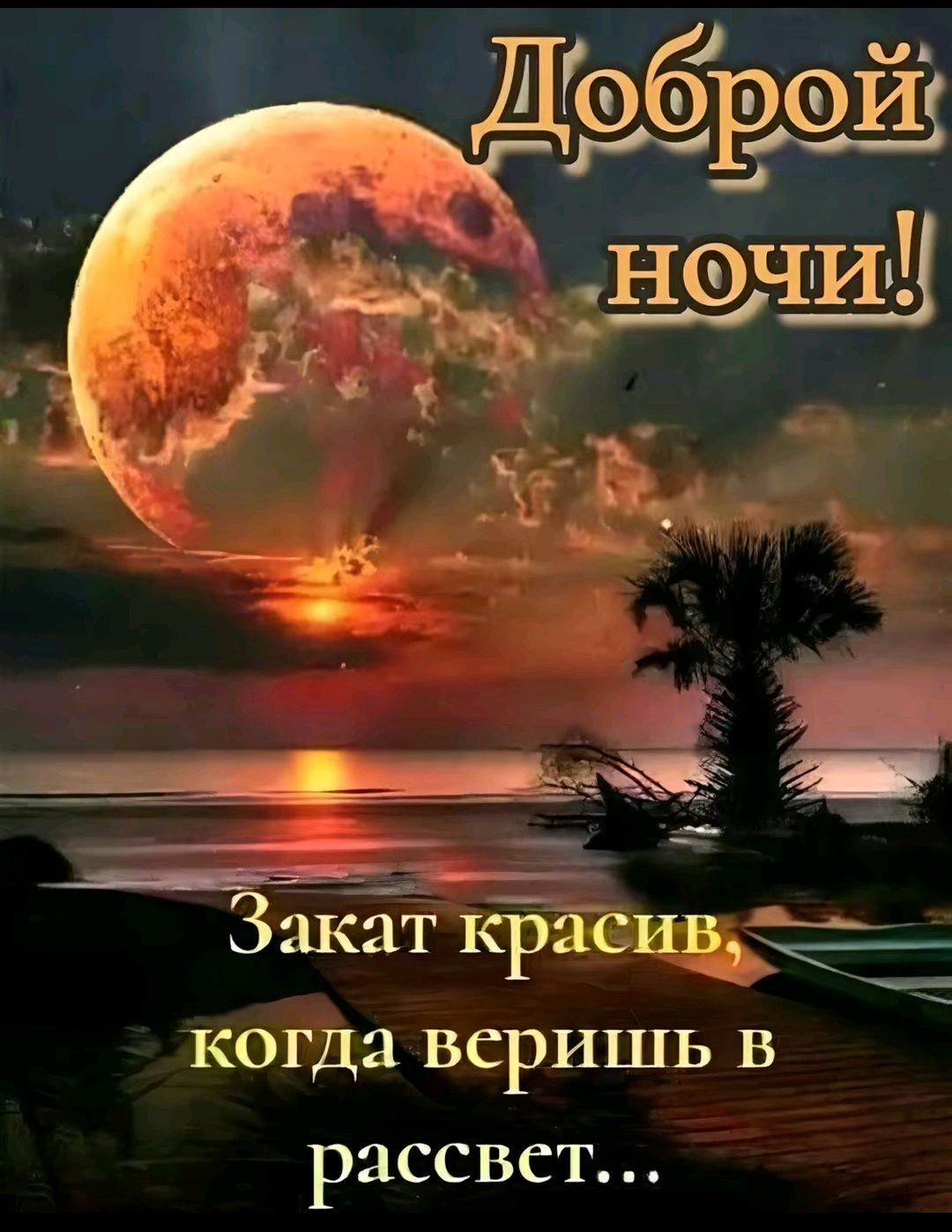 Доброй ночи!
Закат красив, когда веришь в рассвет...