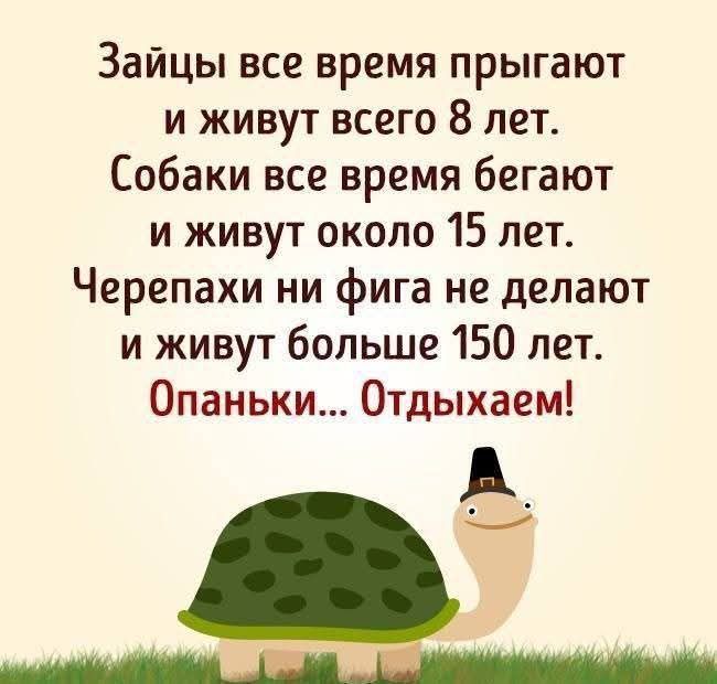 Зайцы все время прыгают
и живут всего 8 лет.
Собаки все время бегают
и живут около 15 лет.
Черепахи ни фига не делают
и живут больше 150 лет.
Опаньки... Отдыхаем!