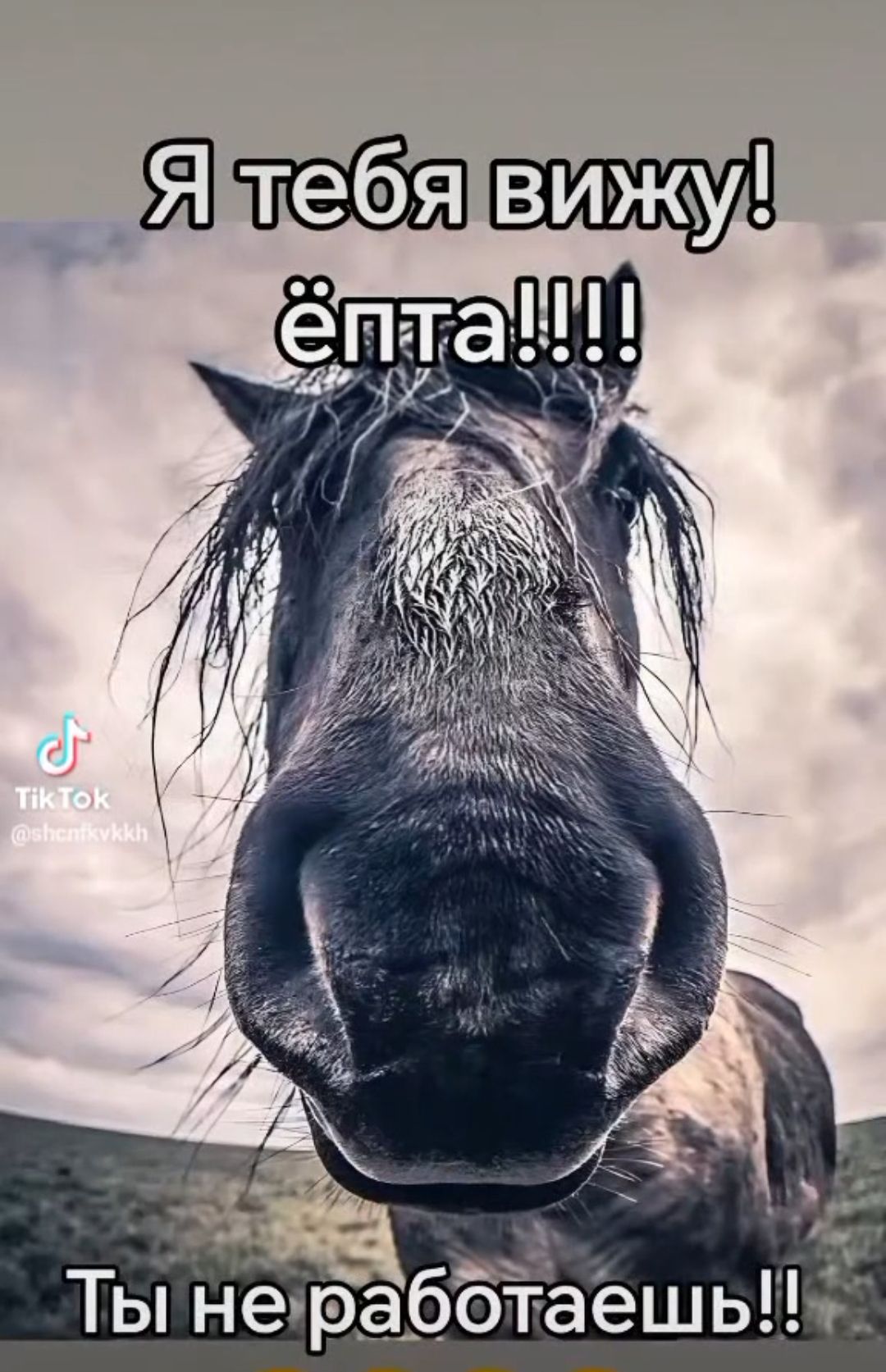 Я тебя вижу! ёпта!!!! Ты не работаешь!!