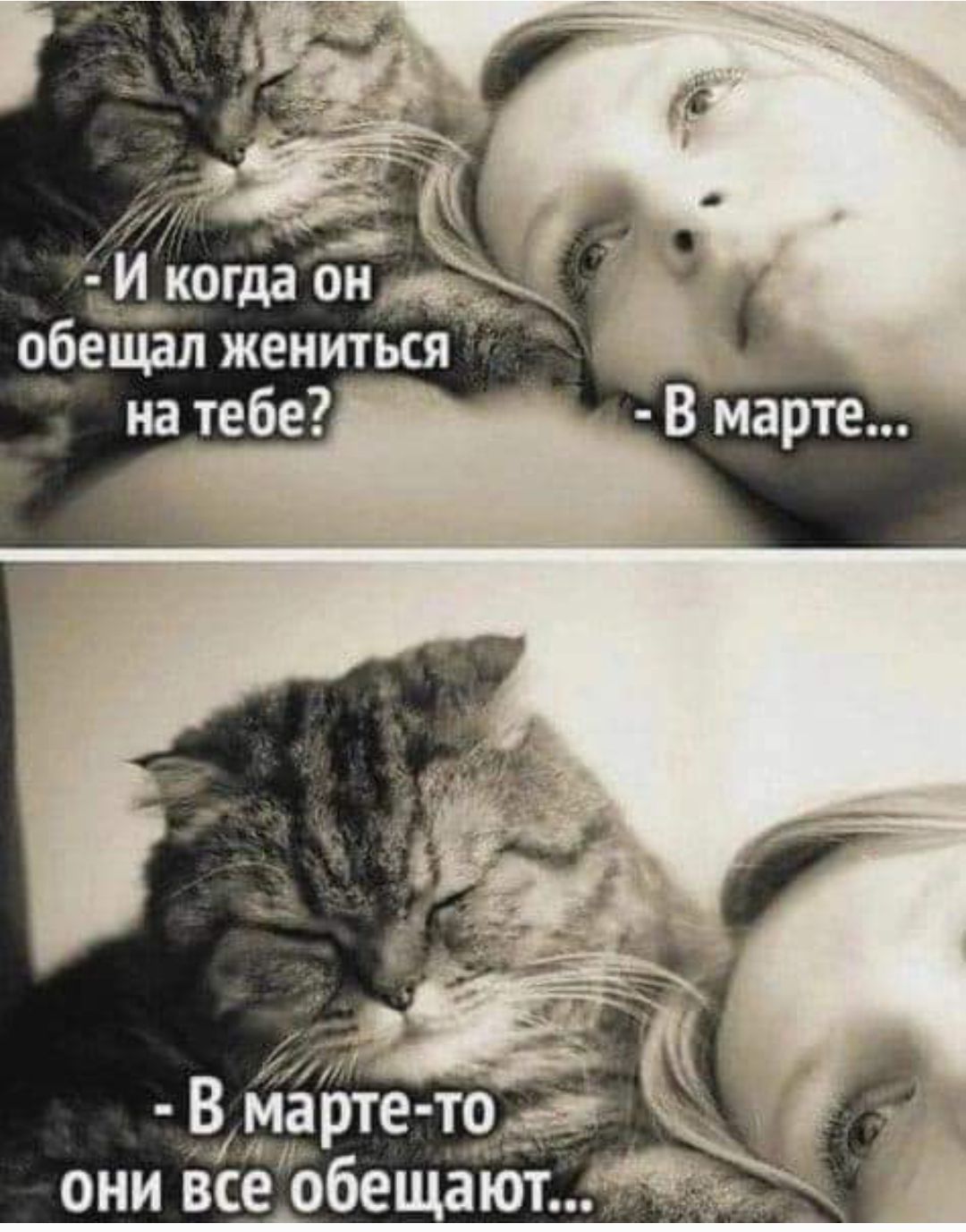 - И когда он обещал жениться на тебе? - В марте...
- В марте-то они все обещают...