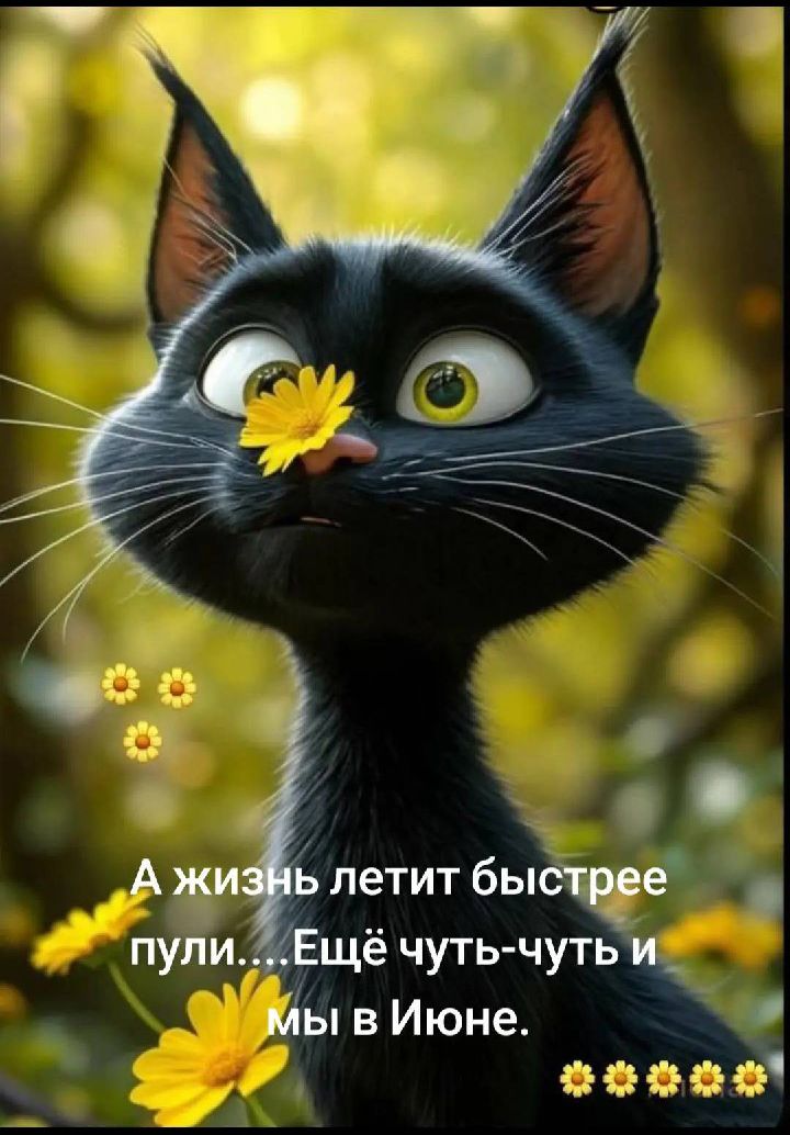 А жизнь летит быстрее пули....Ещё чуть-чуть и мы в Июне.
