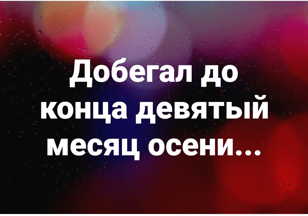 Добегал до конца девятый месяц осени...