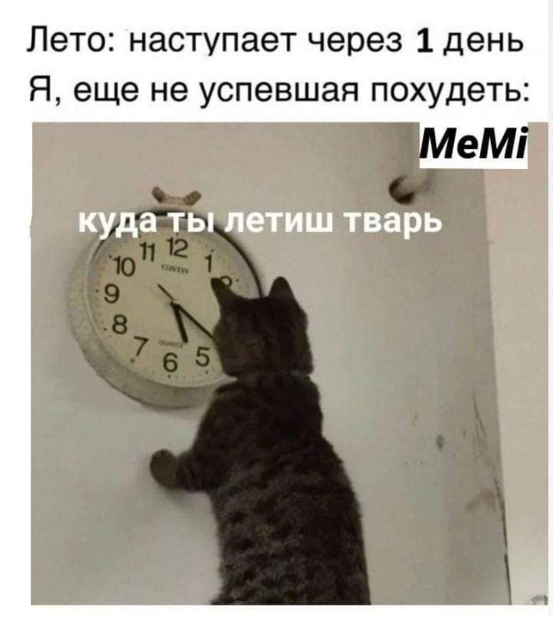 Лето: наступает через 1 день
Я, еще не успевшая похудеть:
куда ты летишь твАрь
