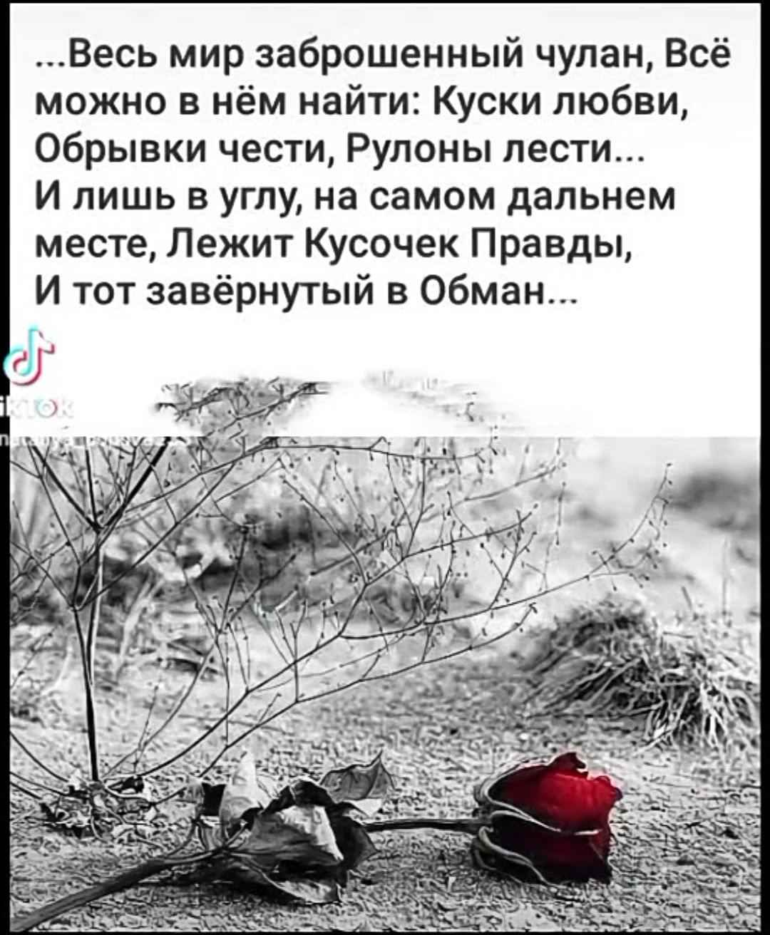 ...Весь мир заброшенный чулан, Всё можно в нём найти: Куски любви, Обрывки чести, Рулоны лести... И лишь в углу, на самом дальнем месте, Лежит Кусочек Правды, И тот завернутый в Обман...