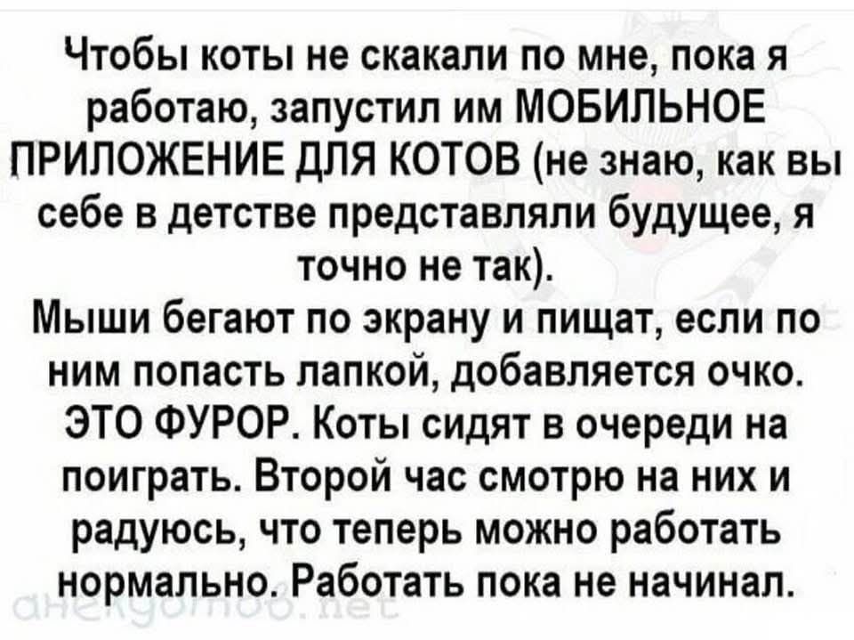 Чтобы коты не скакали по мне, пока я работаю, запустил им МОБИЛЬНОЕ ПРИЛОЖЕНИЕ ДЛЯ КОТОВ (не знаю, как вы себе в детстве представляли будущее, я точно не так). Мыши бегают по экрану и пищат, если по ним попасть лапкой, добавляется очко. ЭТО ФУРОР. Коты сидят в очереди на поиграть. Второй час смотрю на них и радуюсь, что теперь можно работать нормально. Работать пока не начинал.