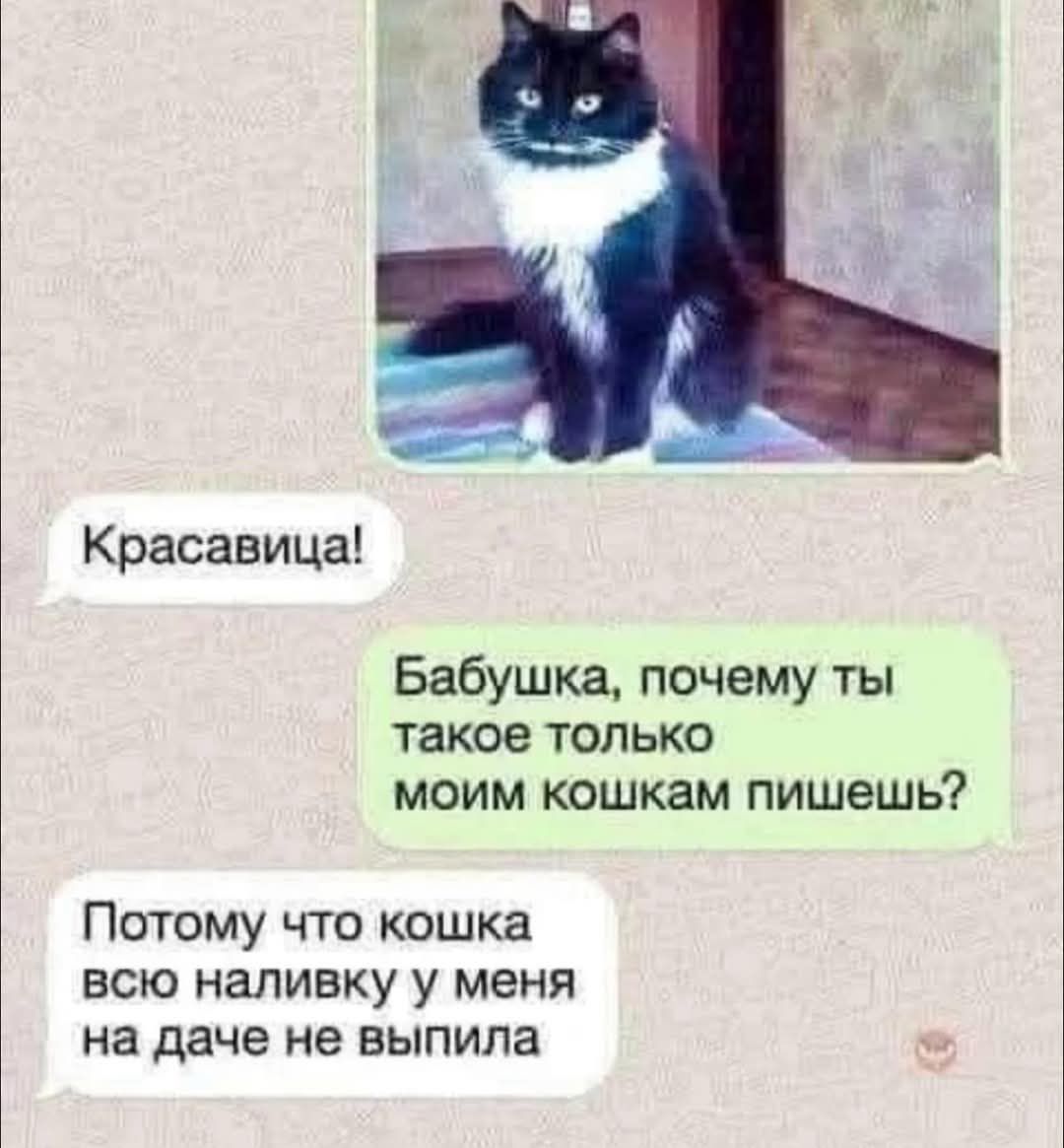 Красавица! Бабушка, почему ты такое только моим кошкам пишешь? Потому что кошка всю наливку у меня на даче не выпила.