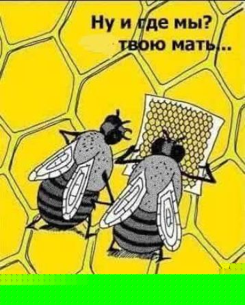 Ну и где мы? твою мать...