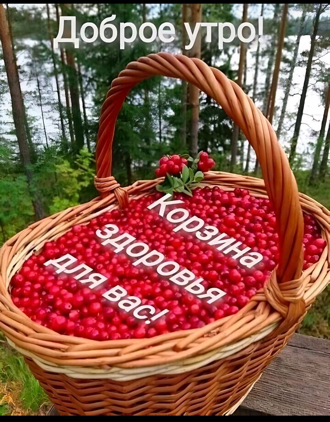 Доброе утро! Корзина здоровья для вас!