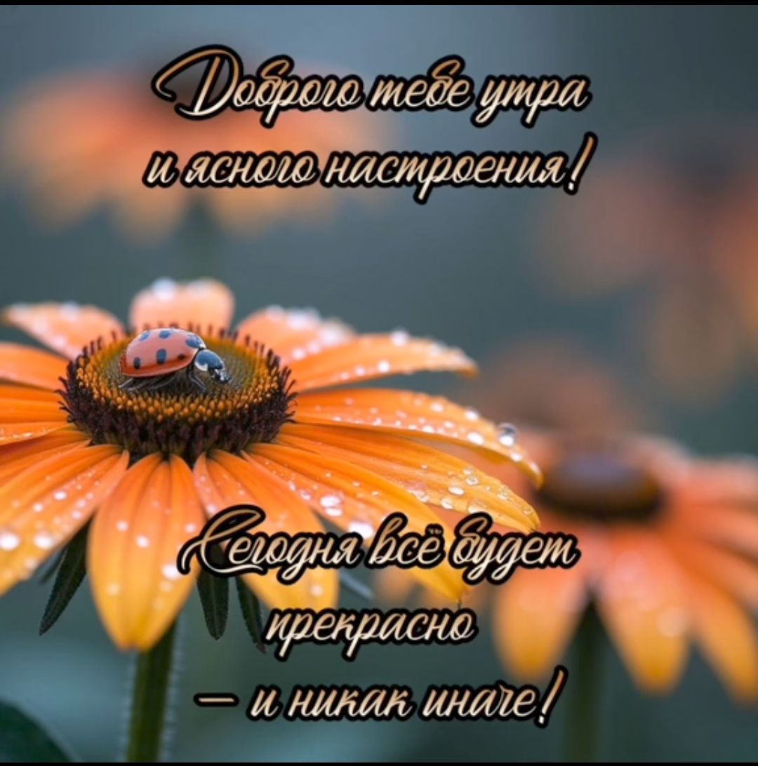Доброе утро тебе и ясного настроения! Сегодня всё будет прекрасно — и никак иначе!