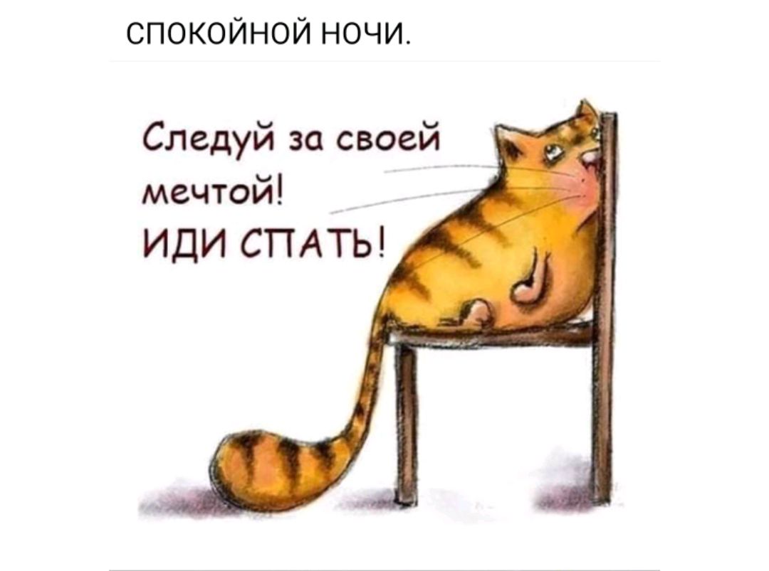 СПОКОЙНОЙ НОЧИ.
Следуй за своей мечтой! ИДИ СПАТЬ!