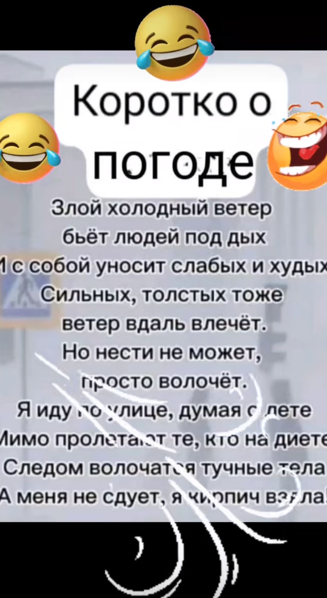 Коротко о погоде

Злой холодный ветер
бьёт людей под дых
И с собой уносит слабых и худых
Сильных, толстых тоже
ветер вдаль влечёт.
Но нести не может,
просто волочёт.

Я иду по улице, думая о лете.
Мимо прокатятся те, кто на диете.
Следом volочатся тучные тела.
А меня не судят, я кирпич взяла.