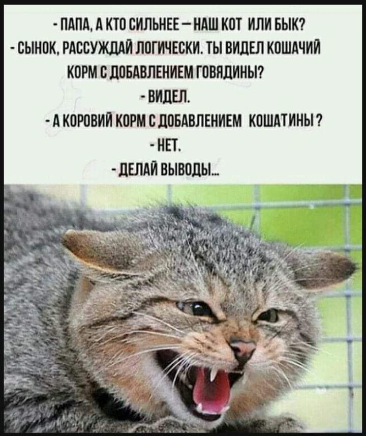 Папа, а кто сильнее – наш кот или бык? Сынок, рассуждай логически. Ты видел кошачий корм с добавлением говядины? - Видел. - А коровий корм с добавлением кошатины? - Нет. - Делай выводы...