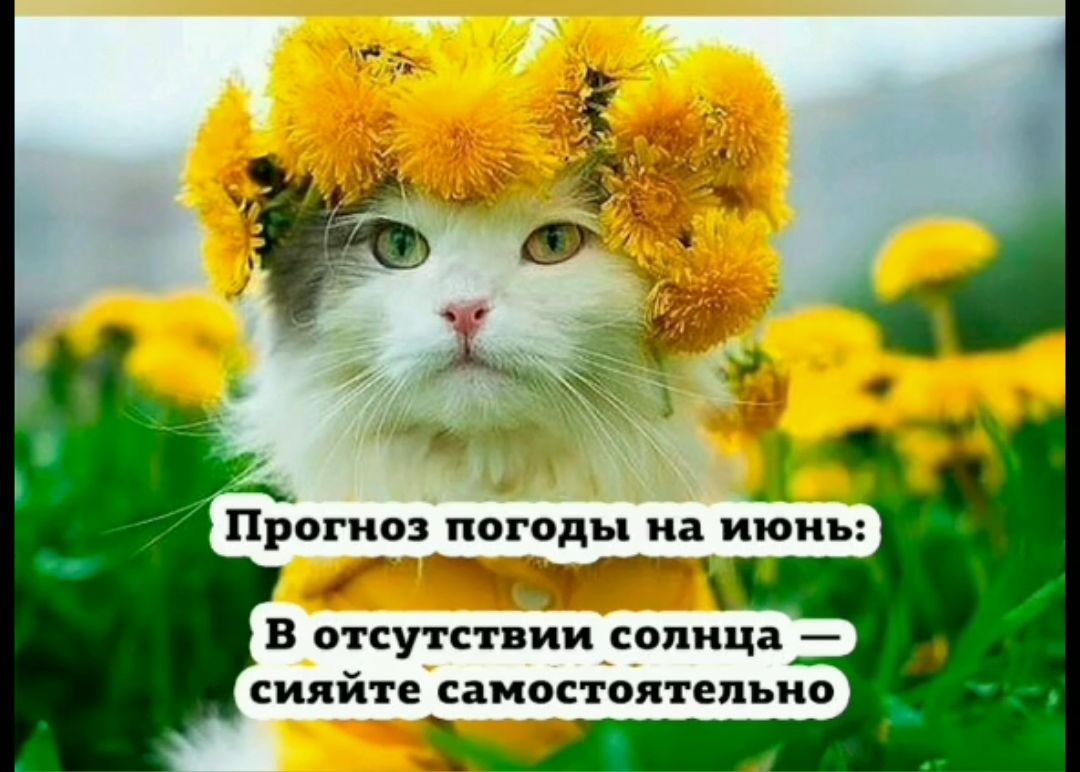 Прогноз погоды на июнь: В отсутствии солнца – сияйте самостоятельно