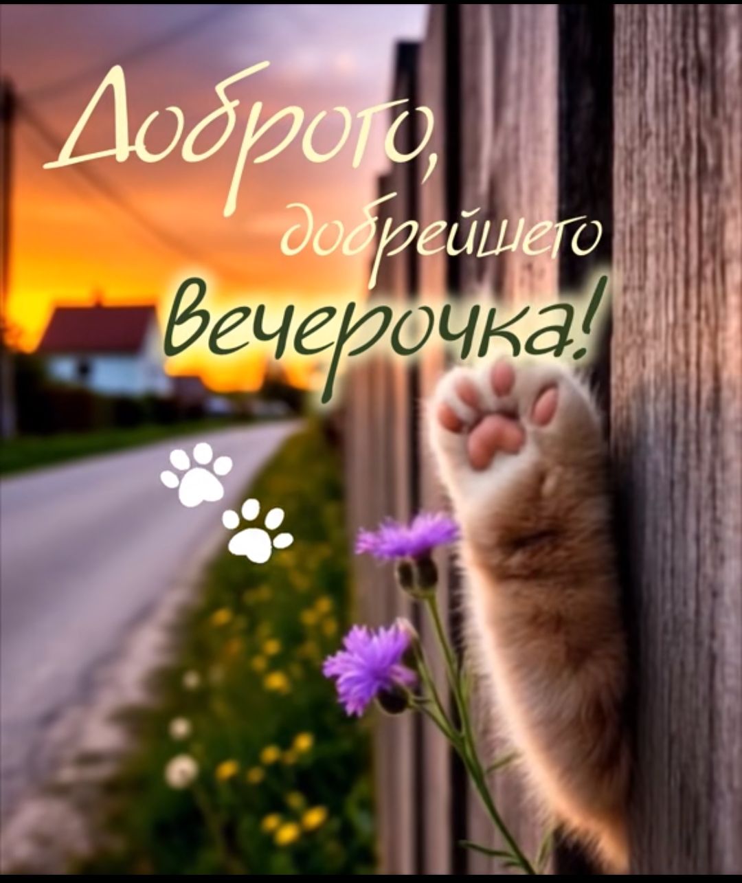 Доброе, добрейшего вечерочка!