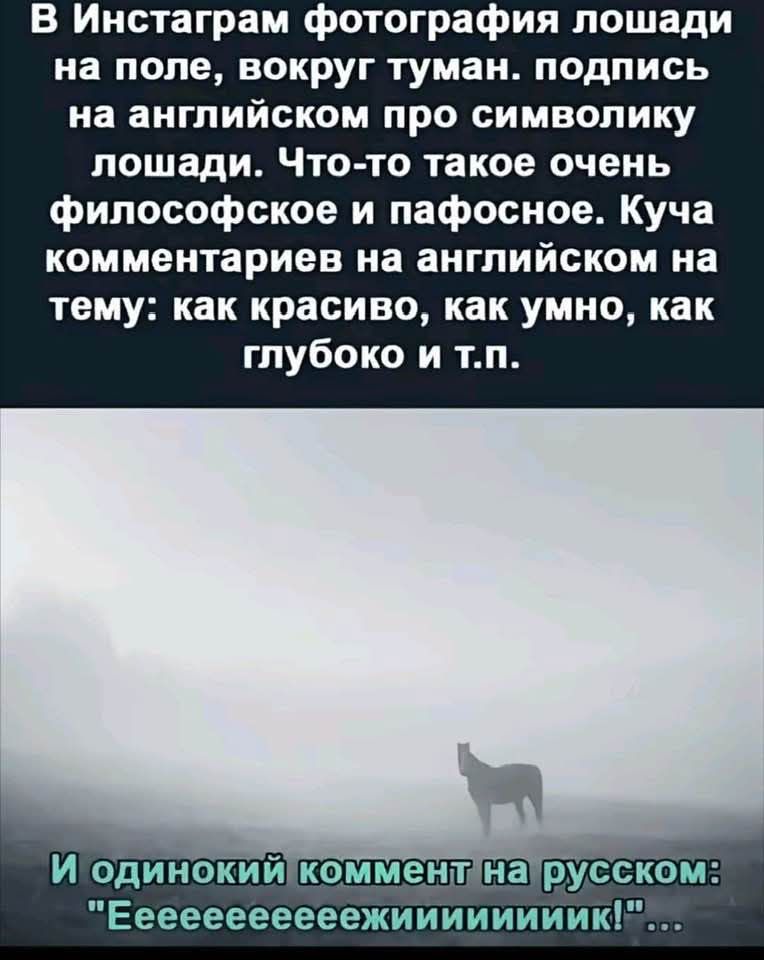 В Инстаграм фотография лошади на поле, вокруг туман. подпись на английском про символику лошади. Что-то такое очень философское и пафосное. Куча комментариев на английском на тему: как красиво, как умно, как глубоко и т.п.
И одинокий комментарий на русском: 