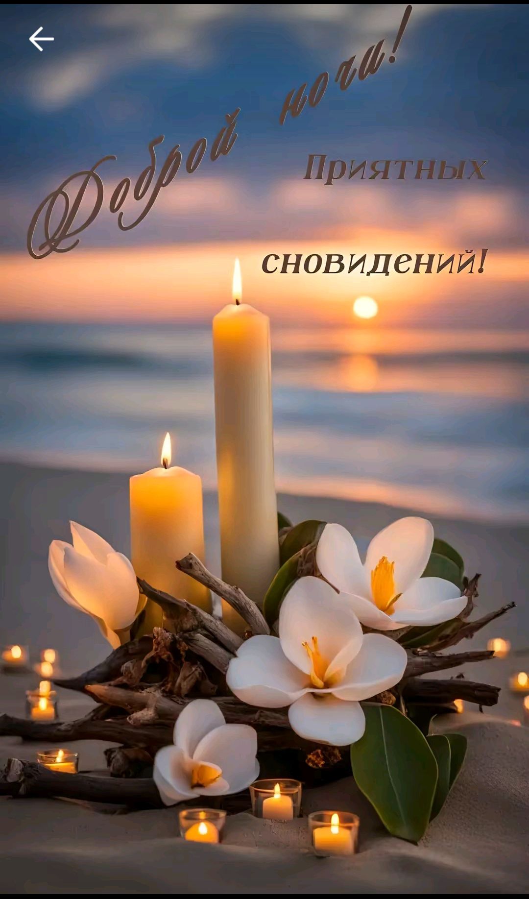 Доброй ночи! Приятных сновидений!