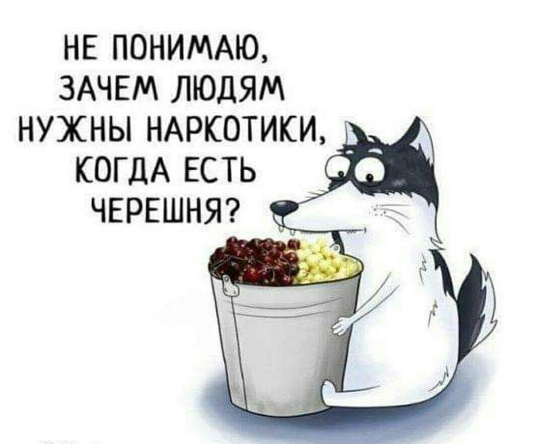 НЕ ПОНИМАЮ, ЗАЧЕМ ЛЮДЯМ НУЖНЫ НАРКОТИКИ, КОГДА ЕСТЬ ЧЕРЕШНЯ?