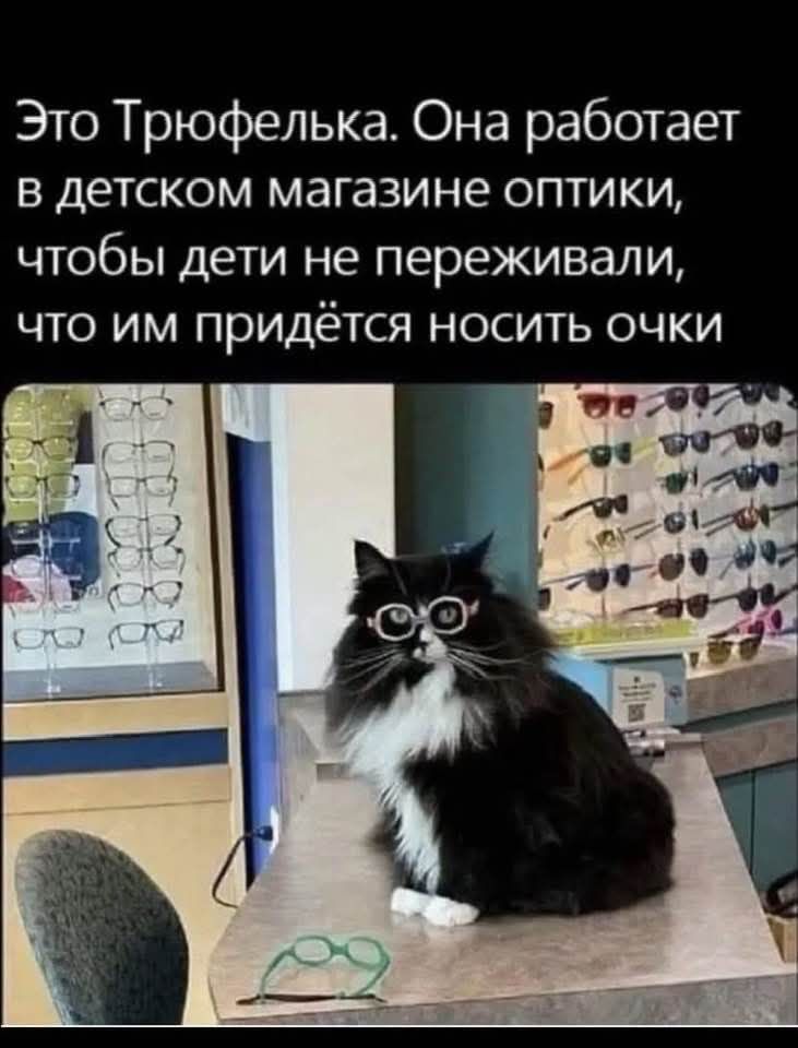 Это Трюфелька. Она работает в детском магазине оптики, чтобы дети не переживали, что им придётся носить очки.