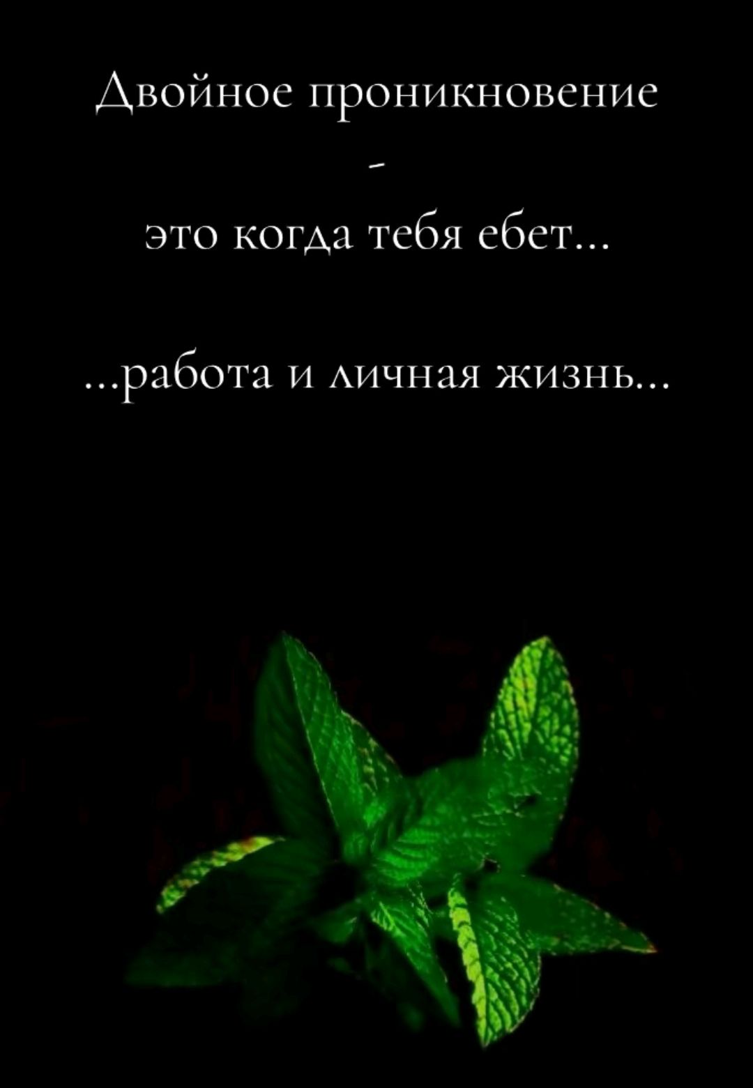 Двойное проникновение - это когда тебя ебет... ...работа и личная жизнь...