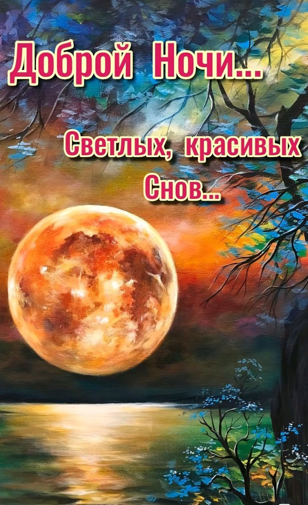 Доброй Ночи...
Светлых, красивых Снов...