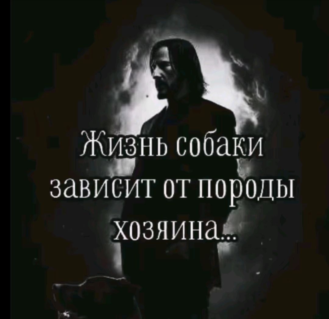 Жизнь собаки зависит от породы хозяина...