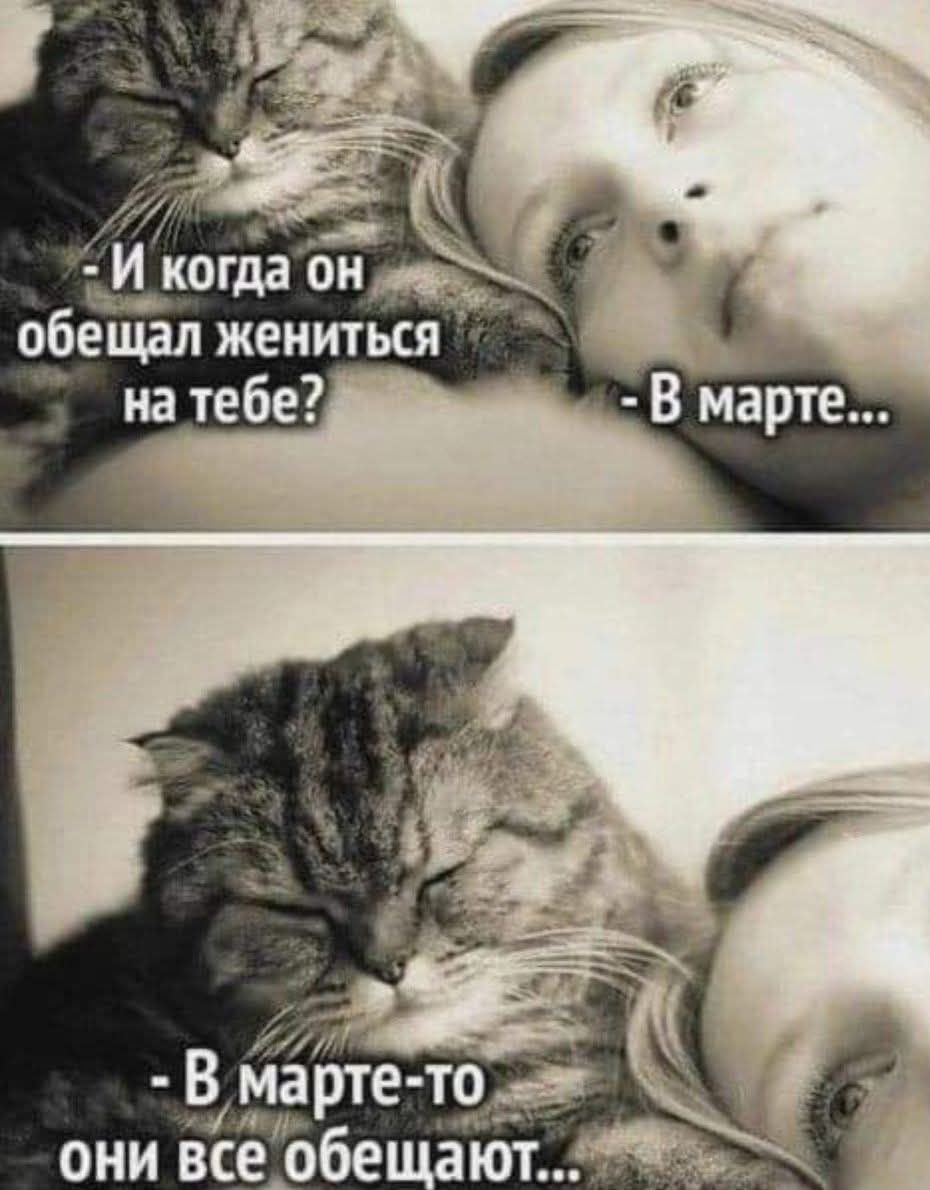 - И когда он обещал жениться на тебе? - В марте...
- В марте-то они все обещают...