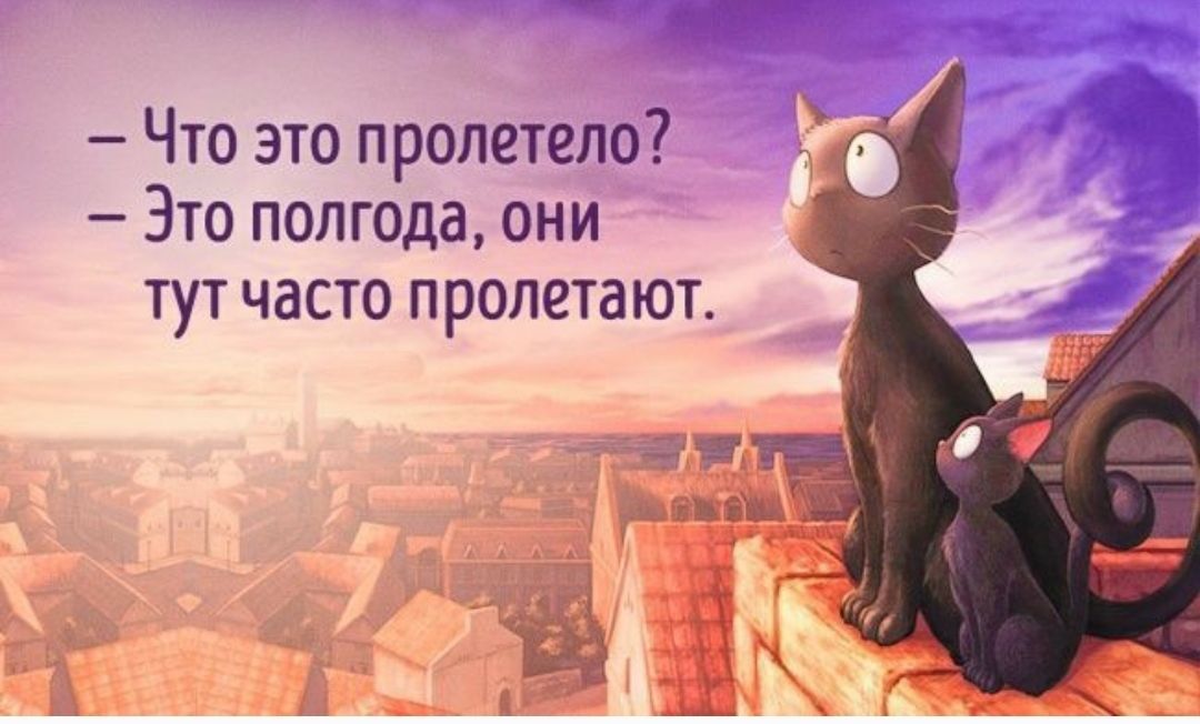 – Что это пролетело?  
– Это полгода, они тут часто пролетают.